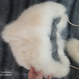 Фото 2