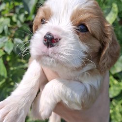 Фото 1